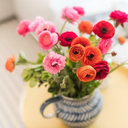 Praca Amarela By Heart Of * فونشال