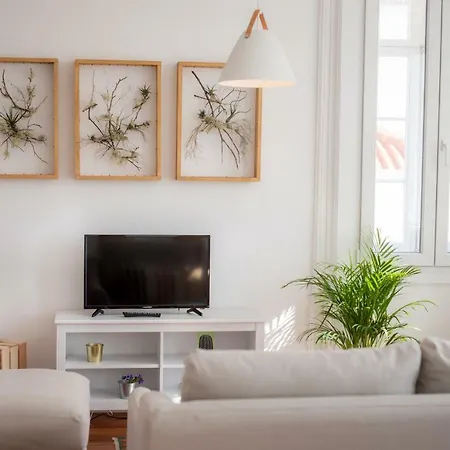 Praca Amarela By Heart Of 公寓 丰沙尔