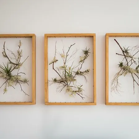 公寓 Praca Amarela By Heart Of