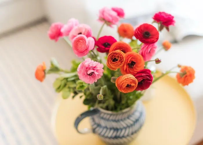 Praca Amarela By Heart Of * Funchal (Madeira)