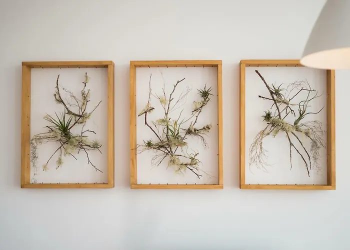 Appartement Praca Amarela By Heart Of